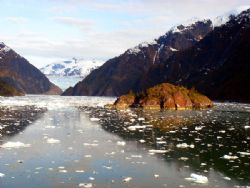 'Dive Alaska' Definitely dry suit conditions. One of the ... by Rick Tegeler 
